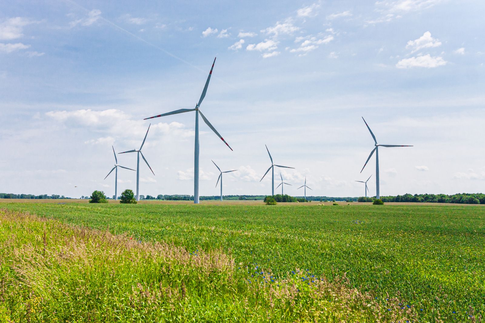 Aerogeneradores generando energía limpia en un paisaje verde bajo un cielo despejado, que evoca el compromiso ambiental y climático