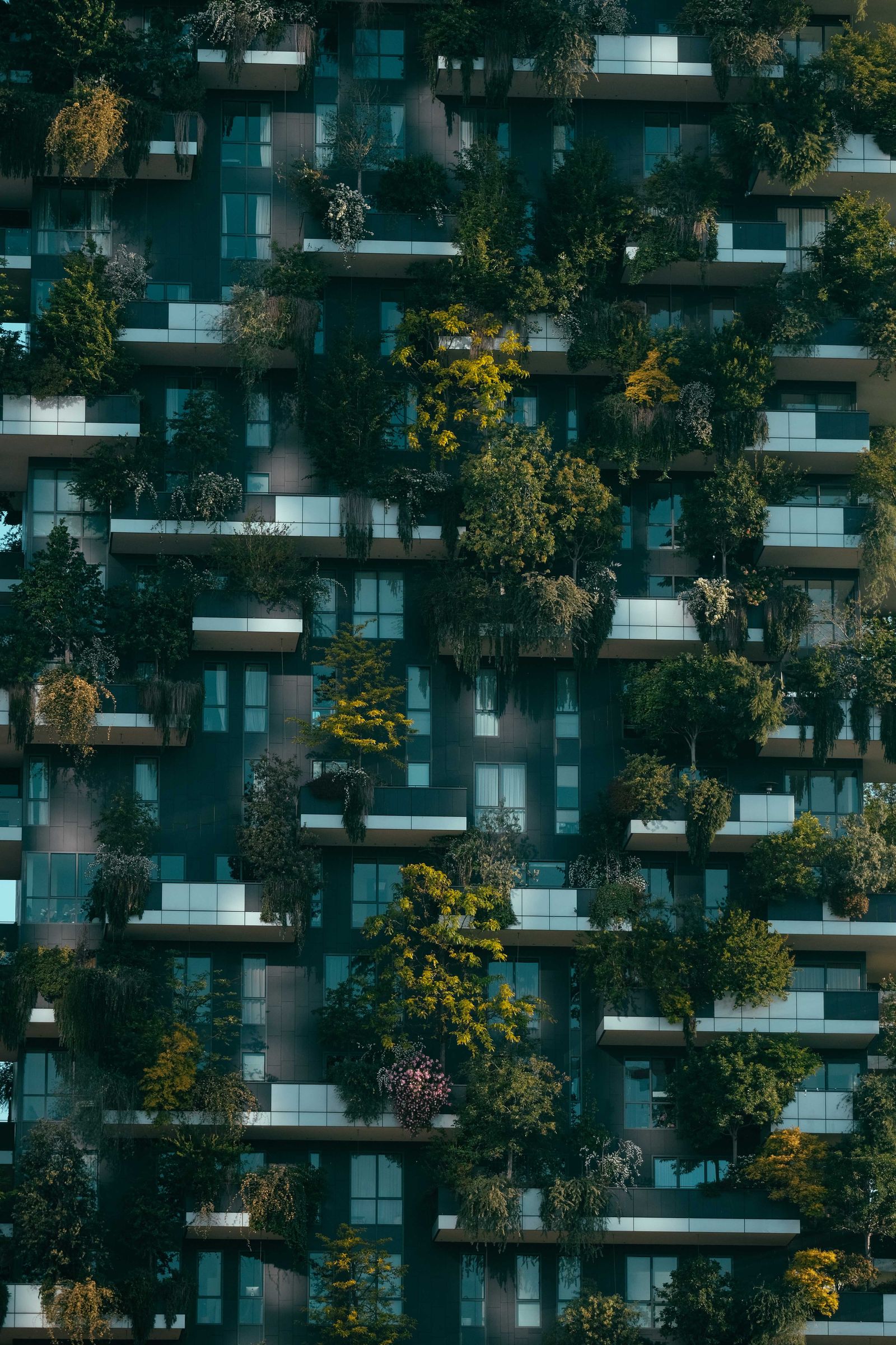 Fachada del bosque vertical (Bosco Verticale, Milán): balcones con árboles y plantas en ca