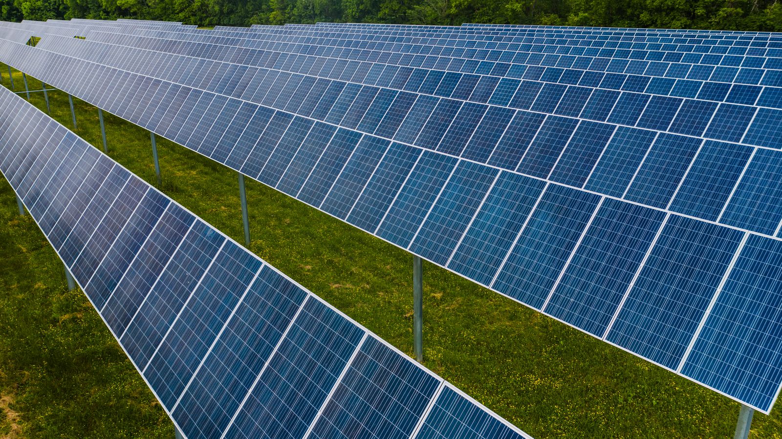 Hilera de paneles solares fotovoltaicos sobre un prado verde bajo el sol